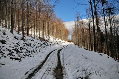Snow covered road amidst bare trees in winter
