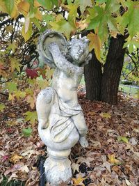 Tree with autumn leaves