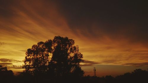 Low angle view of silhouette trees against dramatic sky