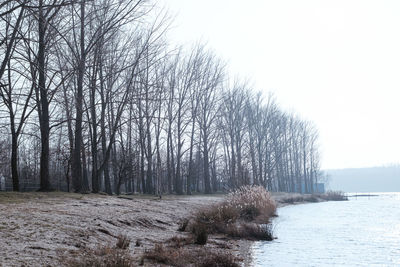 Bare trees on snow covered land against sky