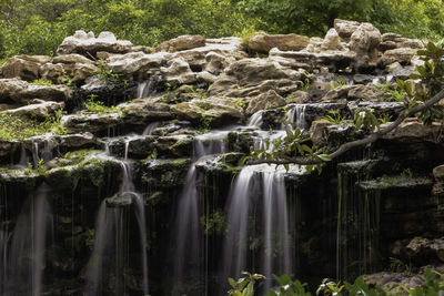 Scenic view of waterfall in forest