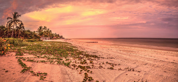 Old pier in the ocean at port royal beach at sunrise in naples, florida