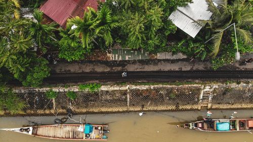 High angle view of people by plants against trees