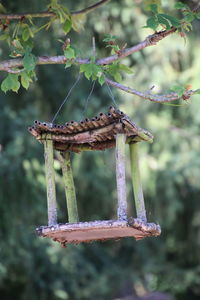 Old wooden birdhouse hanging from tree