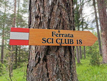 Information sign on tree trunk in forest