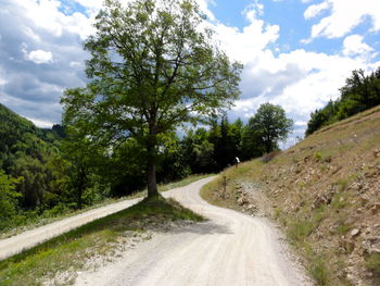 Empty road with trees in background