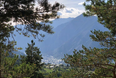 Scenic view of tree mountains against sky