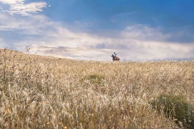 Person riding horse on field against sky