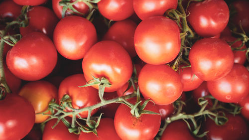 Full frame shot of tomatoes