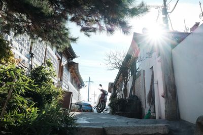 Street amidst trees and buildings in city