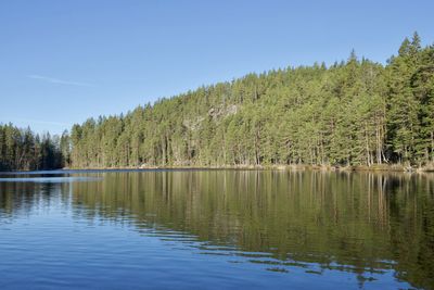 Scenic view of lake in forest against clear sky