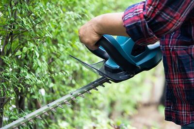 Gardener holding electric hedge trimmer to cut the treetop in garden.