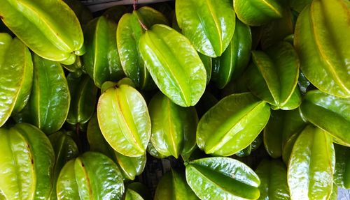 Full frame shot of green leaves