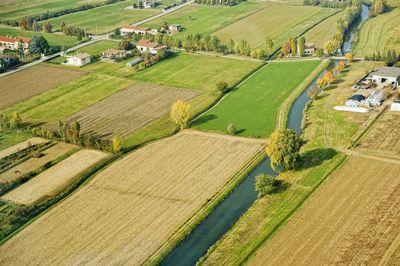 High angle view of agricultural field