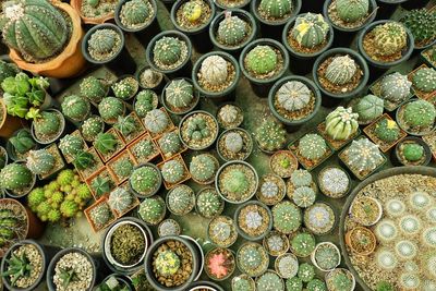 High angle view of objects