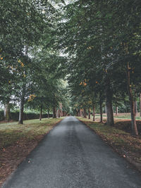 Empty road amidst trees