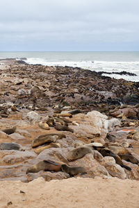 Scenic view of rocks on beach against sky