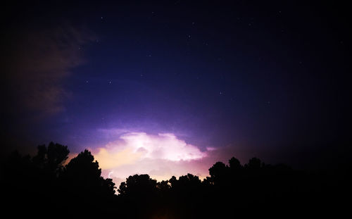 Low angle view of silhouette trees against sky at night