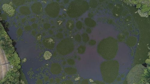 Close-up high angle view of water