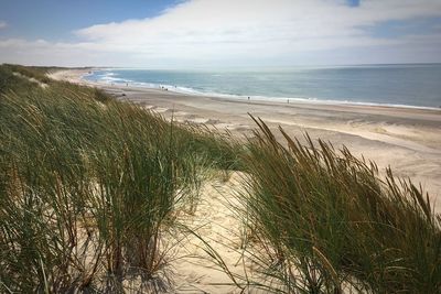 Scenic view of beach against sky