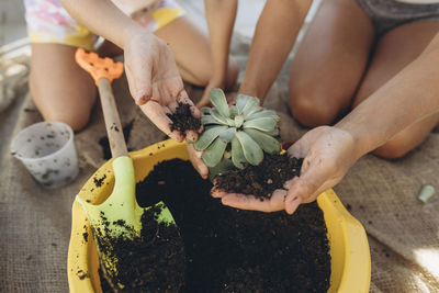 Mother and daughter planting together