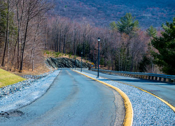 Road amidst trees on landscape