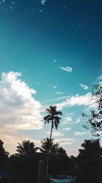 Low angle view of silhouette trees against blue sky