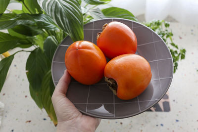 Close-up of hand holding fruits