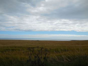 Scenic view of field against cloudy sky