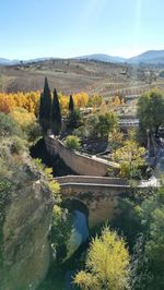 Scenic view of river amidst trees against clear sky