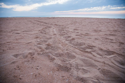 Scenic view of beach with flatback sea turtle tracks against sky