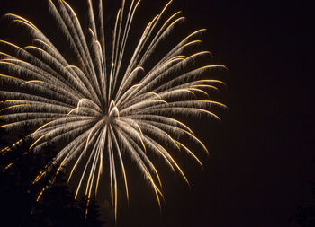 Low angle view of fireworks against sky at night