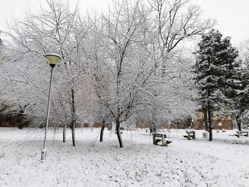 Bare trees on snow covered street against sky