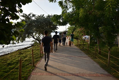Rear view of people walking on road amidst trees
