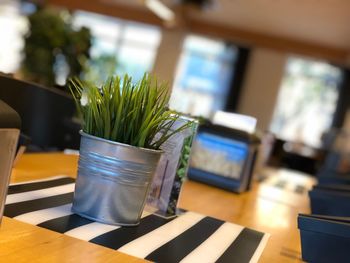 Close-up of potted plant on table at home