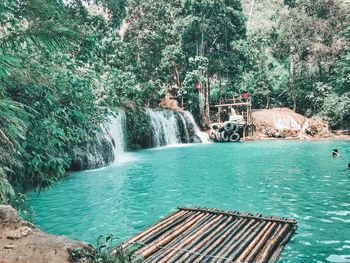 Scenic view of waterfall in forest