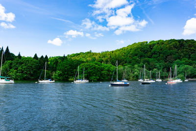 Sailboats in sea against sky