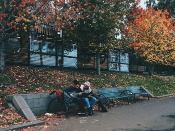 Autumn leaves in park