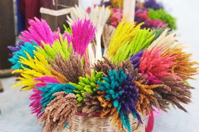 Close-up of multi colored flowers on table