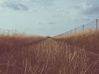 Scenic view of land against sky