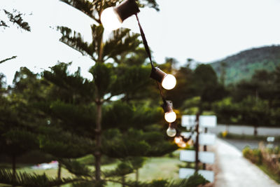 Close-up of illuminated lighting equipment on street