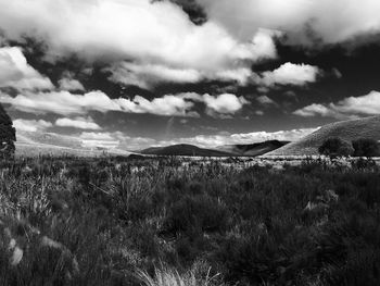 Scenic view of landscape against cloudy sky