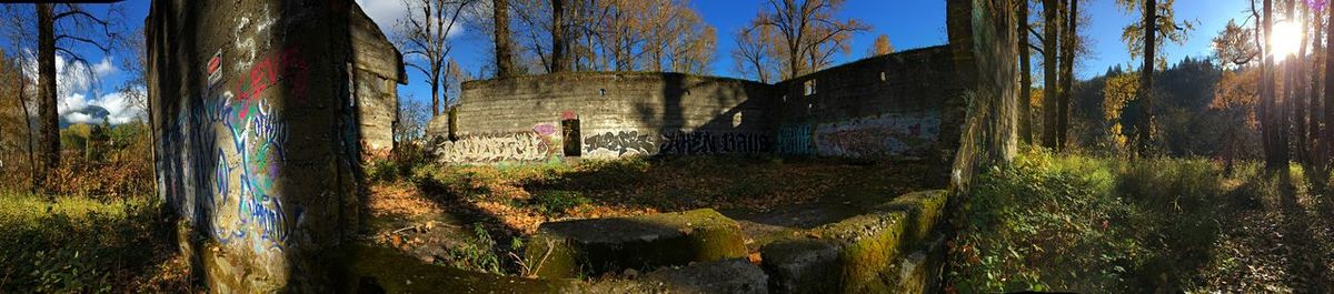 Panoramic view of trees and plants against sky