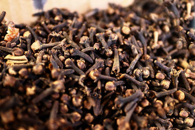 Close-up of cloves