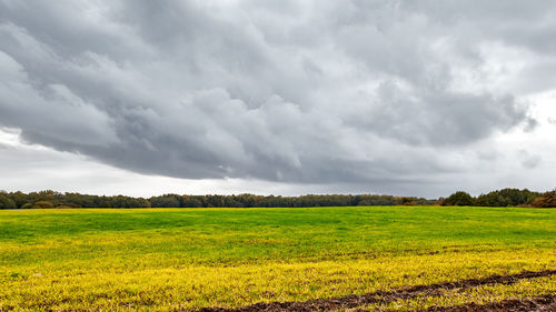 Scenic view of field against sky