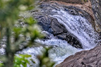 Close-up of turtle on rock