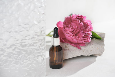 High angle view of pink flower on table