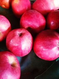 Close-up of cherries on tree