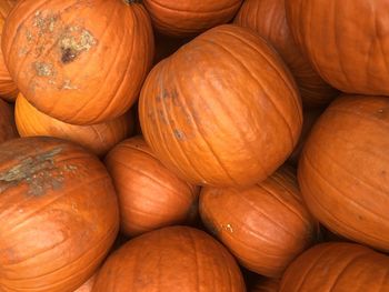 Full frame shot of pumpkins