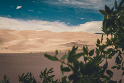 Great sand dunes national park, sand, dunes, mountain range